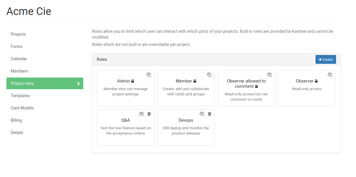 project roles tab