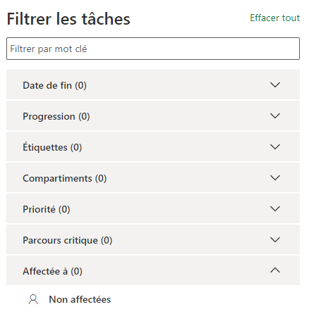 MS-Project filters