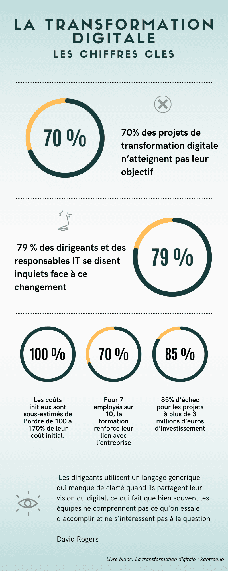 infographie transformation digitale